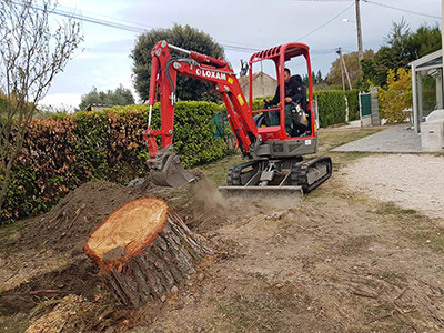 Entretien de jardin