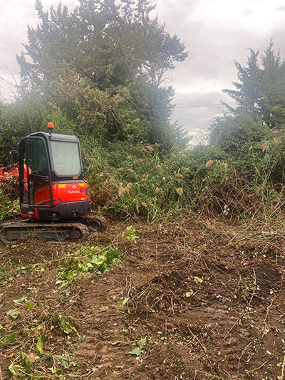 Entretien de jardin