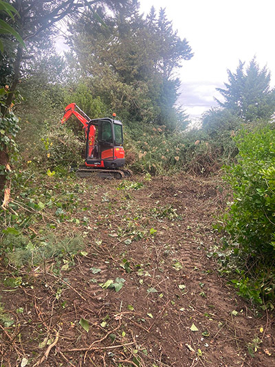 Entretien de jardin